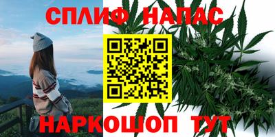 стафф Ипатово